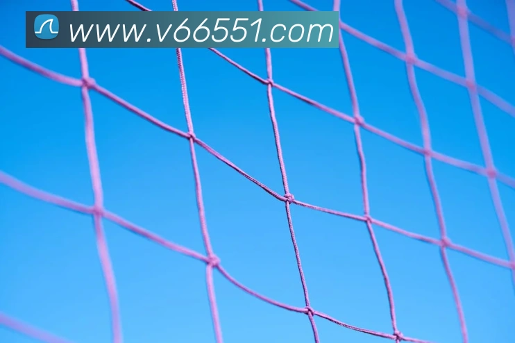 V66体育APP 高清赛事图